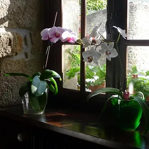 Hotel Le Ratelier